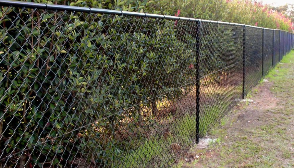 Your Complete Guide to Chain Wire Fencing in Cairns