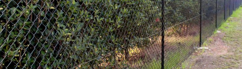 Your Complete Guide to Chain Wire Fencing in Cairns