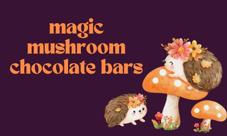magic mushroom chocolate bar 