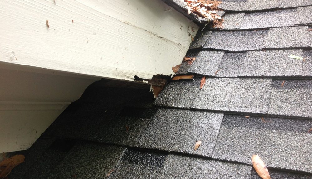 What a Storm Can Leave Behind on a Roof