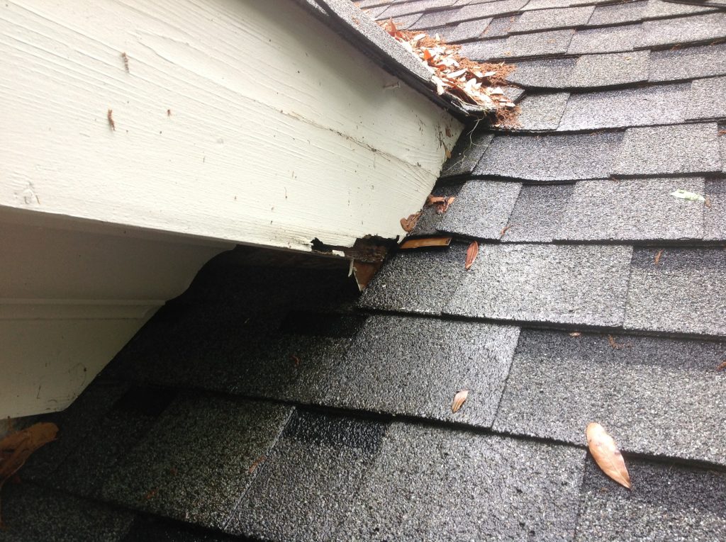 What a Storm Can Leave Behind on a Roof