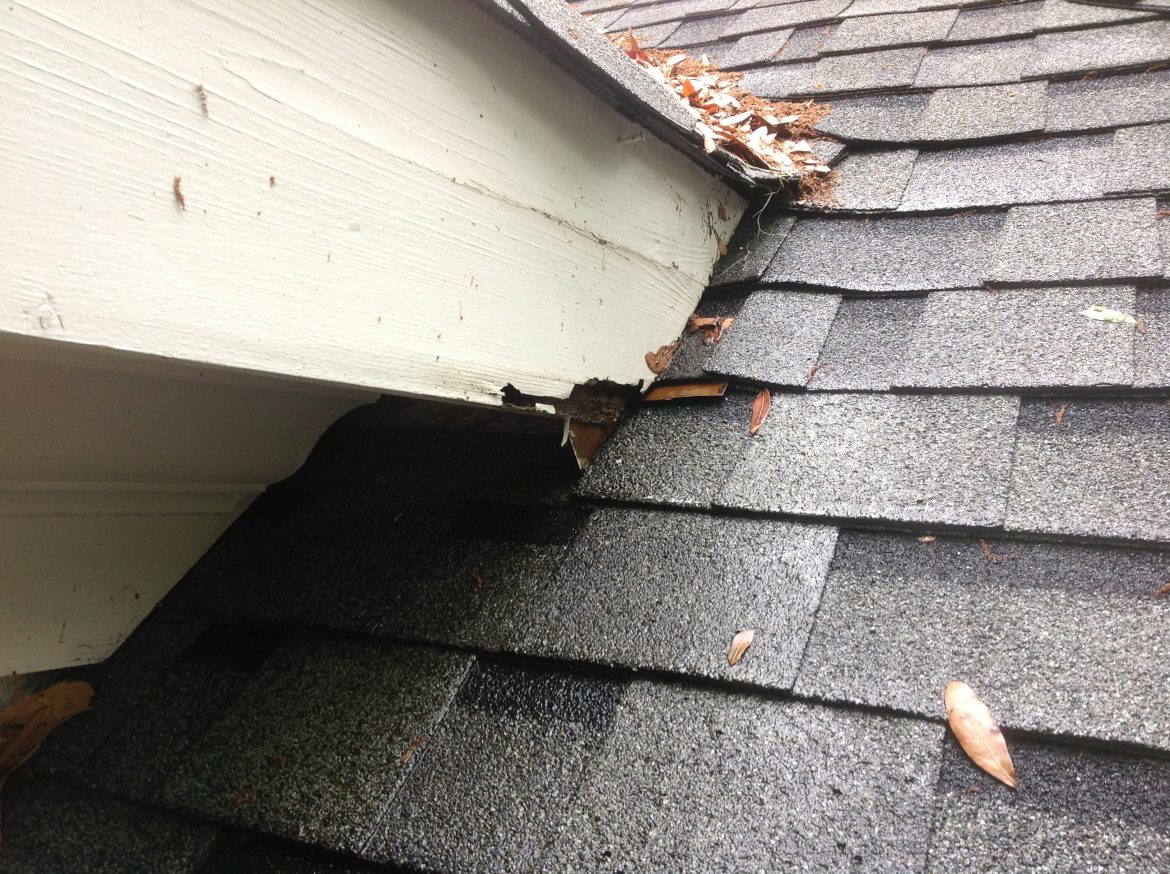 What a Storm Can Leave Behind on a Roof