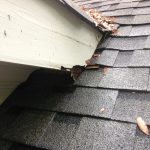 What a Storm Can Leave Behind on a Roof