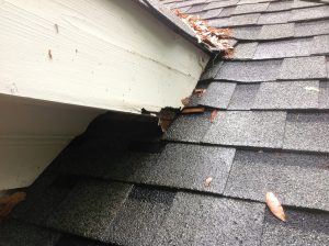 What a Storm Can Leave Behind on a Roof