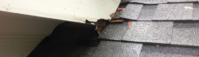 What a Storm Can Leave Behind on a Roof