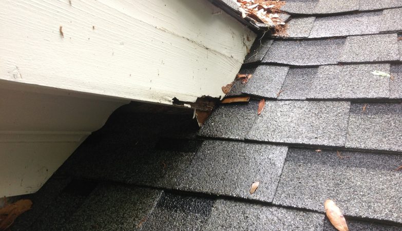 What a Storm Can Leave Behind on a Roof